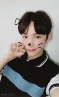 cat&dog ver.B