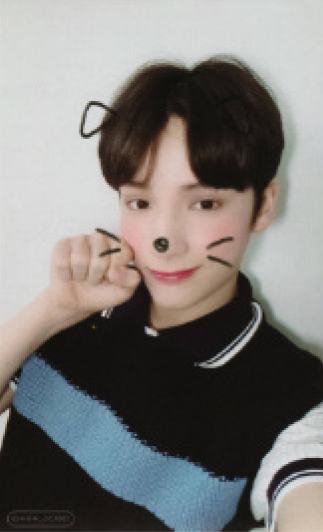 cat&dog ver.B