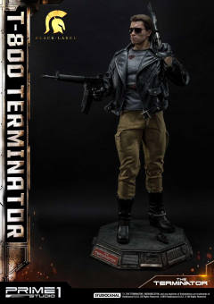 T-800 DX version-资料图