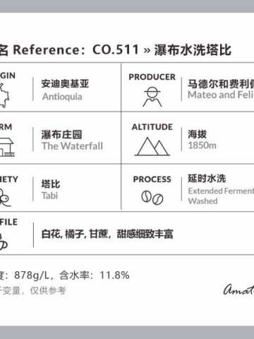 哥伦比亚 瀑布庄园 水洗塔比