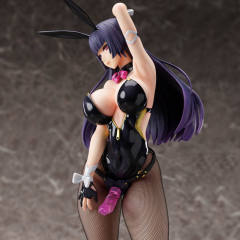 Character's Selection 绯奈泽智花 Bunny ver.-资料图