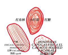 洪都拉斯卡普卡斯科潘农场水洗帕卡马拉