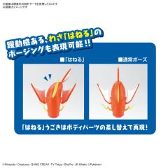 宝可梦拼装 特选系列 BIG 01 鲤鱼王-资料图