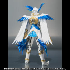 SHF 瓦尔基基鲁-资料图