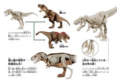 恐龙拼装模型 霸王龙-资料图