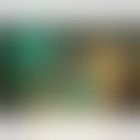 觉醒芭斯特
