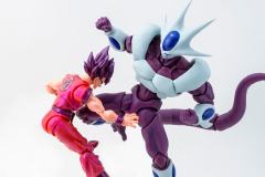 SHF 古拉 最终形态-资料图