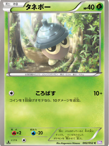 橡实果