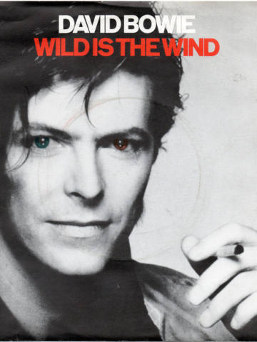 Wild Is The Wind
