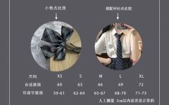 雾林中-资料图