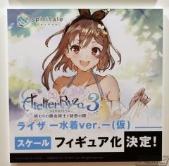 莱莎琳・斯托特 泳装-资料图