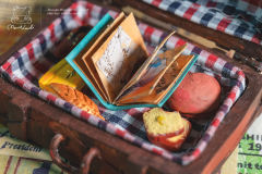 小旅行家麦尔－手作款-资料图