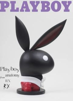 Playboy Anatomy 解剖花花公子-资料图