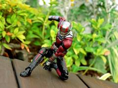 SHF 蚁人-资料图