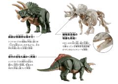 恐龙拼装模型 三角龙-资料图