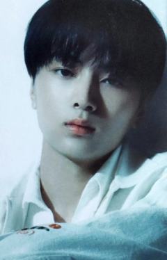 Standard版专卡2 ver.B