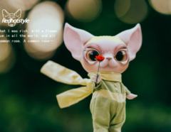 小王子-无毛猫猫女-资料图