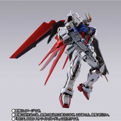 METAL BUILD 翔翼型强袭背包 -10周年纪念版-