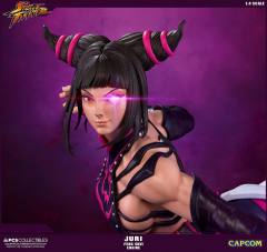 Street Fighter Ultra 韩蛛俐 -资料图