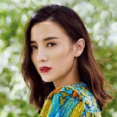 宋佳
