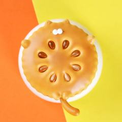 吸猫套餐-饼干猫-资料图