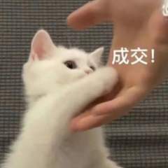 Fairyland研究所