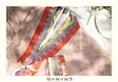 长天2.0-资料图