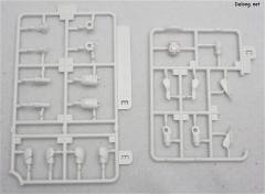 艾尔诺亚·卡缪尔-资料图
