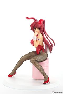 向坂环 Bunny ver.-资料图