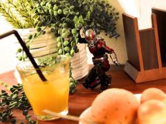 SHF 蚁人-资料图