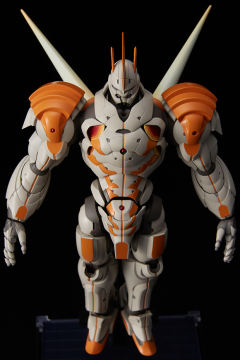 王舞 Full Body ver.-资料图