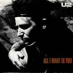 All I Want Is You