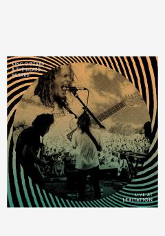 Live At LEVITATION '14 & '16