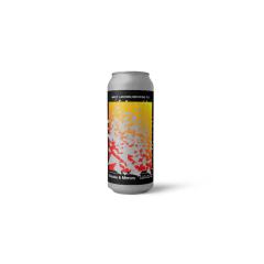 镜中迷雾 IPA