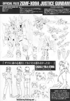 1/100 高达SEED模型系列 ZGMF-X09A 正义高达-资料图