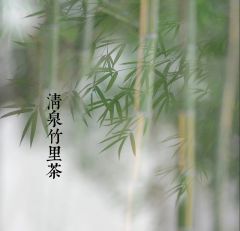 清泉竹里茶