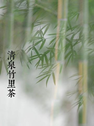 清泉竹里茶