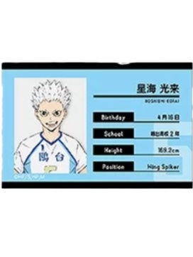 星海光来-档案徽章