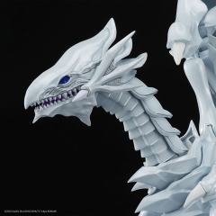 FRS Amplified 青眼白龙-资料图