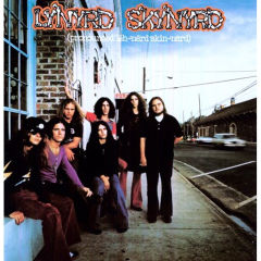 (pronounced 'leh-'nérd 'skin-'nérd)