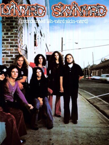 (pronounced 'leh-'nérd 'skin-'nérd)