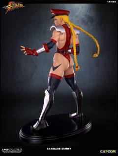 Mixed Media 嘉米·怀特 Shadaloo Cammy-资料图
