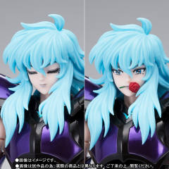 圣斗士圣衣神话 EX 双鱼座 阿布罗狄 Hades Specter Surplice-资料图