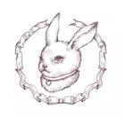 choker rabbit