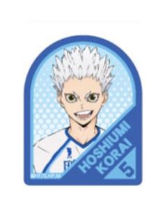 星海光来-集换式立夹