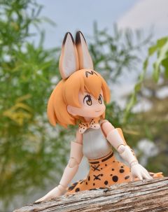 figma#362 薮猫 -资料图