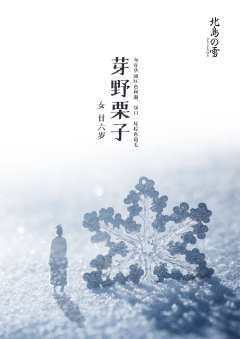 北岛的雪-资料图