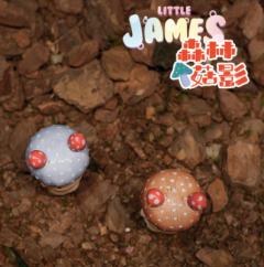 森林菇影红魔菇-蓝色-资料图