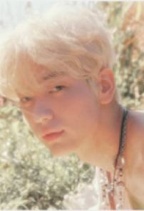 Daydream版专卡2 ver.B