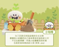 小芽苗-资料图